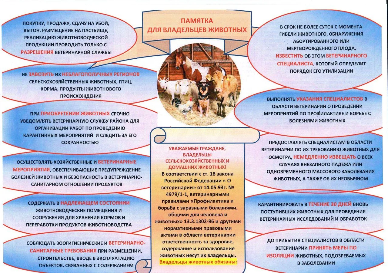 ❗️ПАМЯТКА ДЛЯ ВЛАДЕЛЬЦЕВ ЖИВОТНЫХ❗️