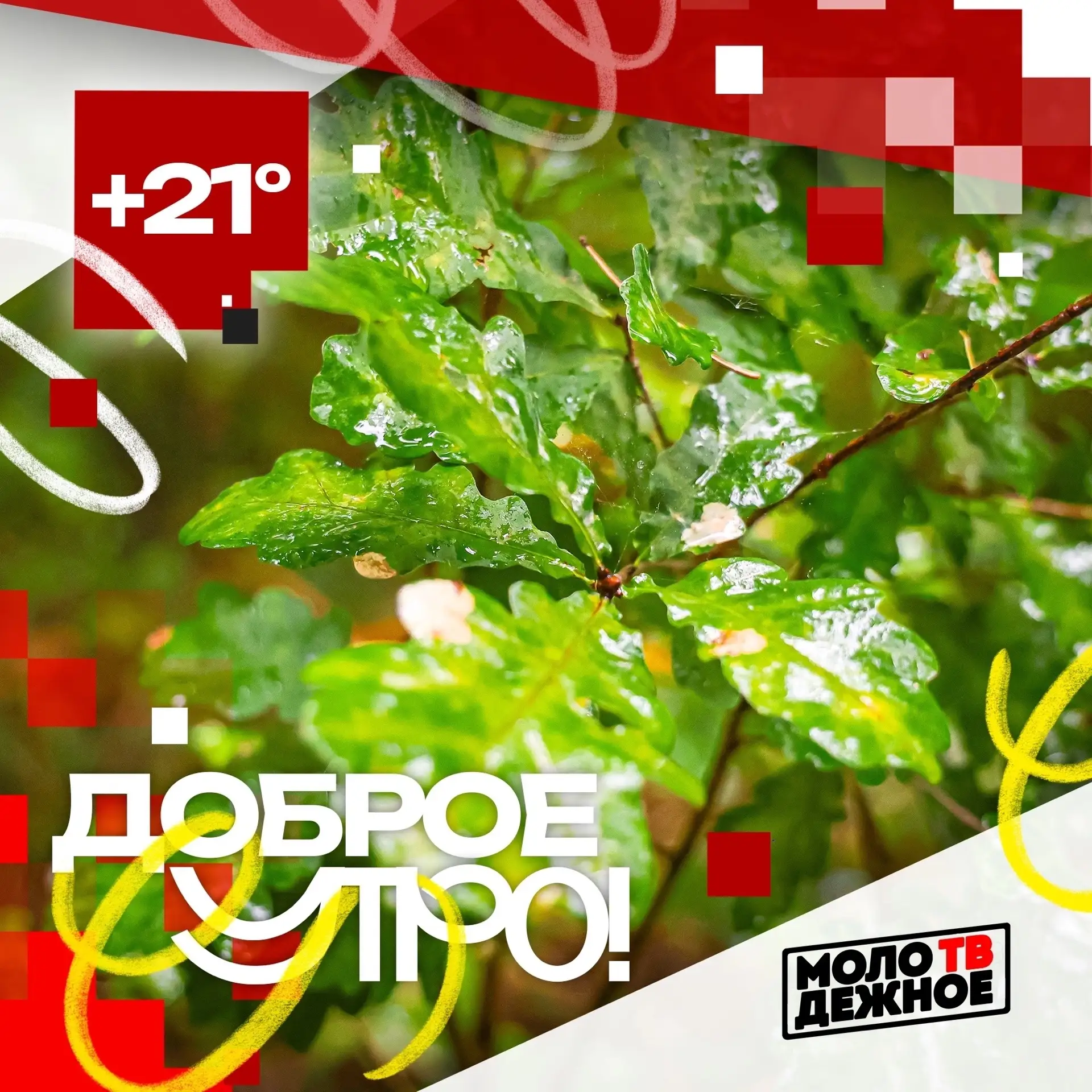Доброе пятничное утро!