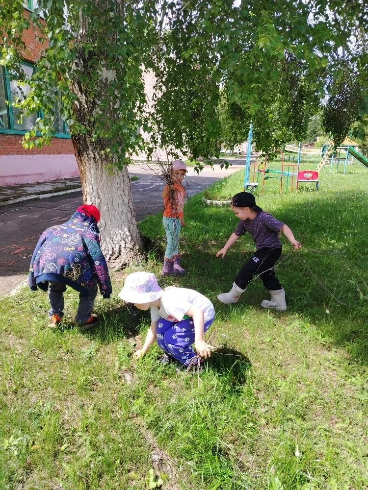 Наводим порядок на участке.
Воспитанники старшей группы детского сада организовали на своем участке 