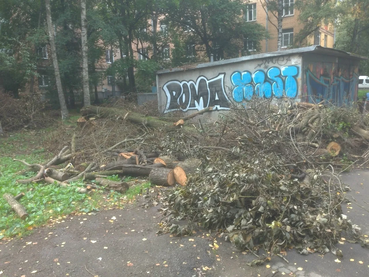 🌿 За домом на Наличной выросли горы веток и пней