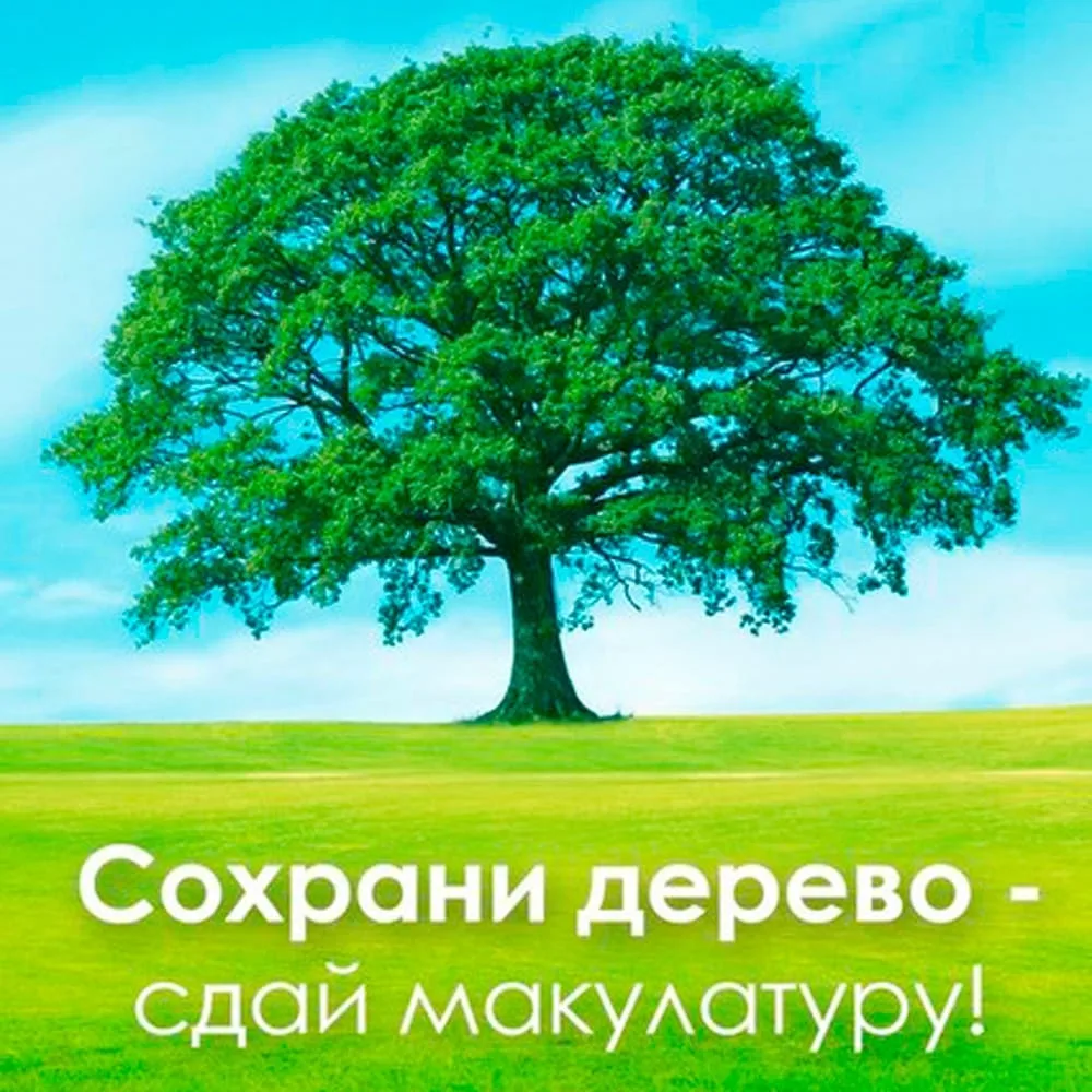Внимание! Внимание!