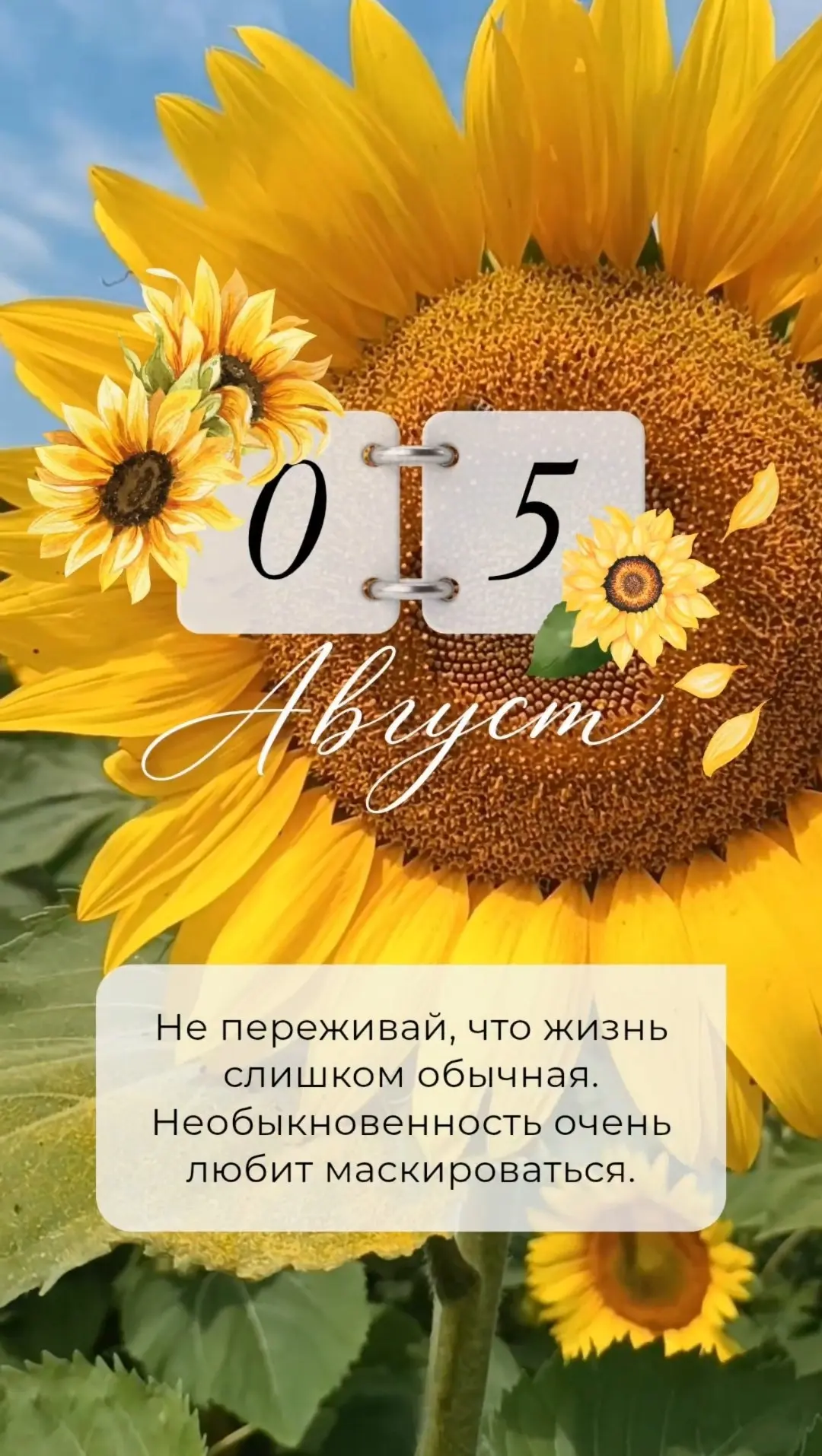 🔖ПРОГНОЗ НА ДЕНЬ