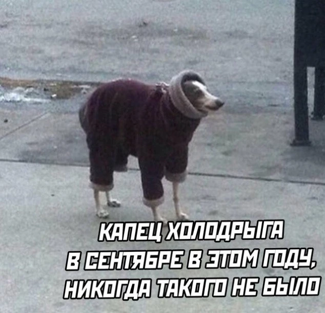 Бабье лето сменят заморозки 😡