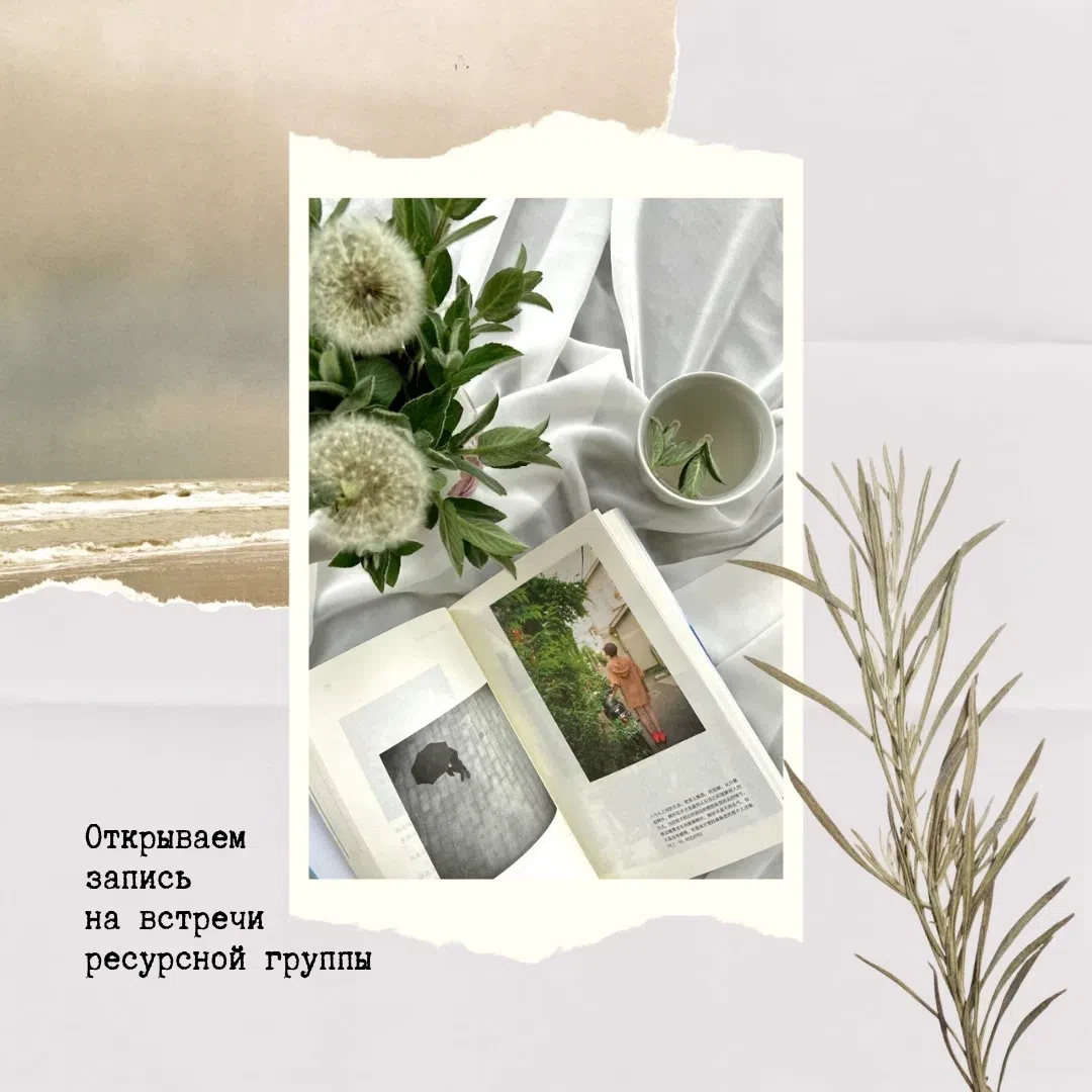 #цср_анонс