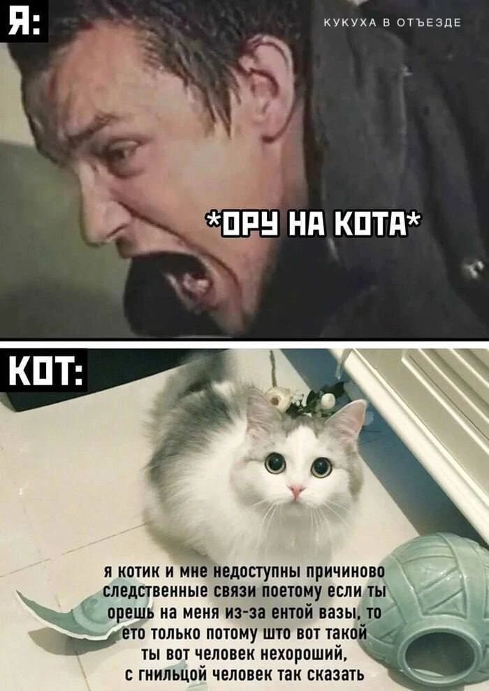 Кукуха в отъезде 🐦