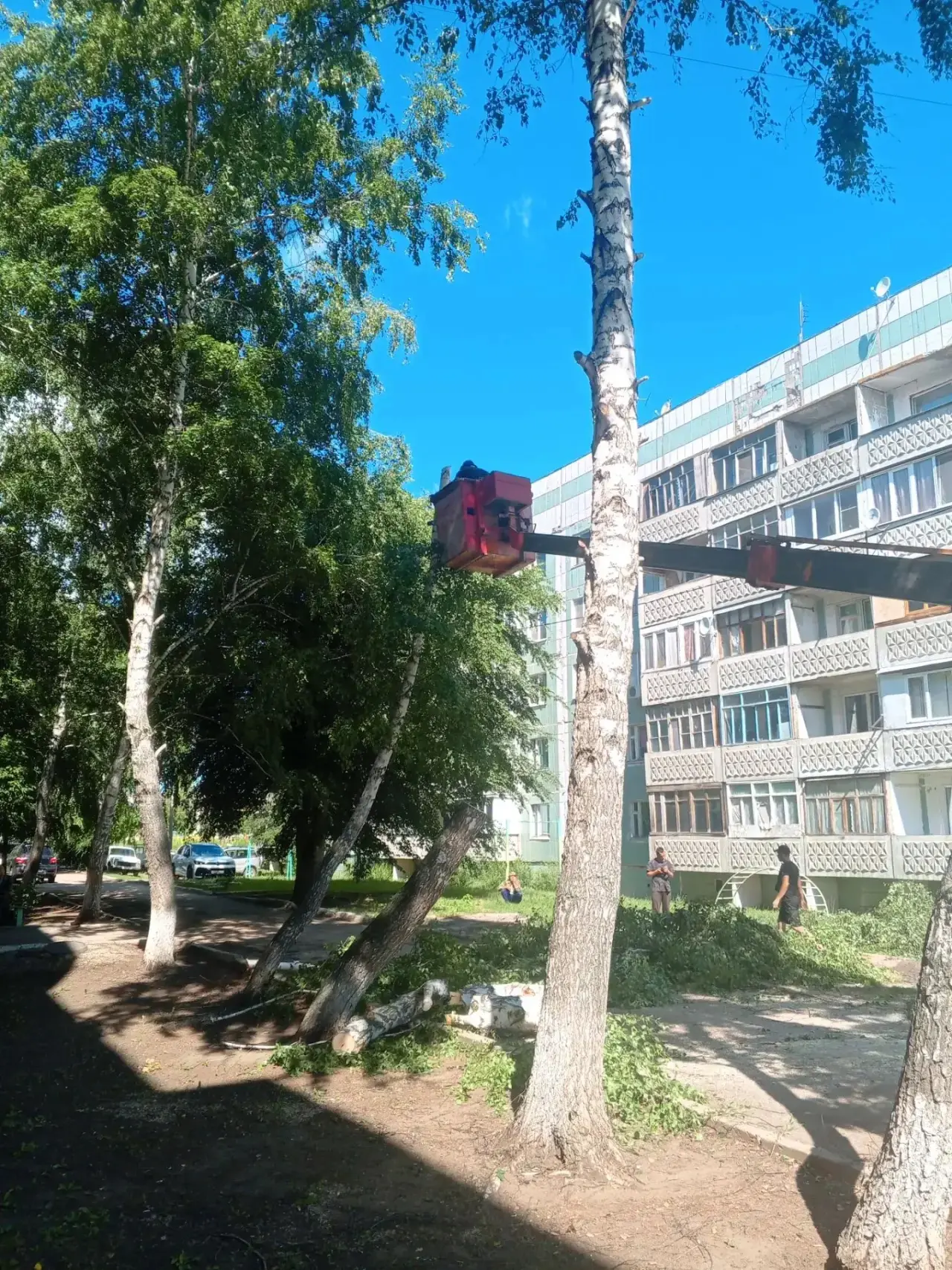 Сегодня, 24 июня, наши ребята поработали в Чапаевске — произвели опиловку деревьев во д...