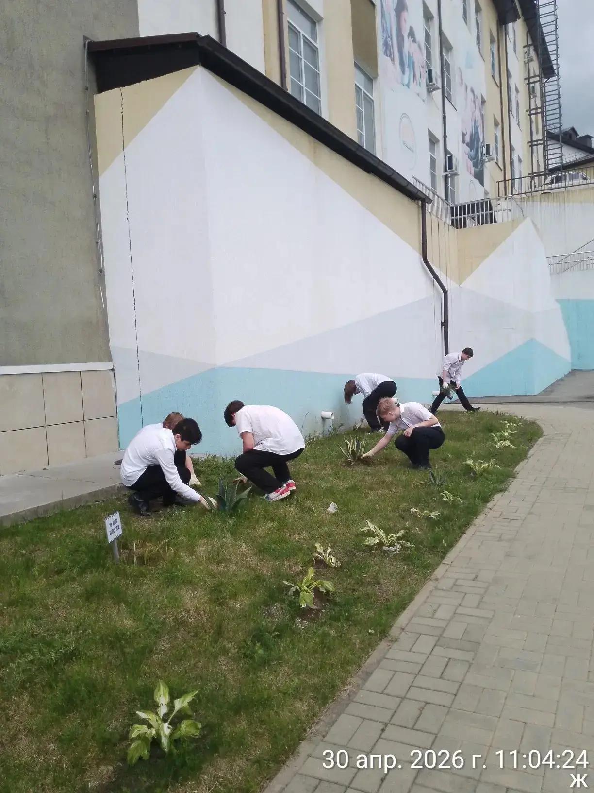 🌿Чистый четверг: старшие классы – в деле!   🌿Сегодня девятые классы нашей школы приняли участие в еж