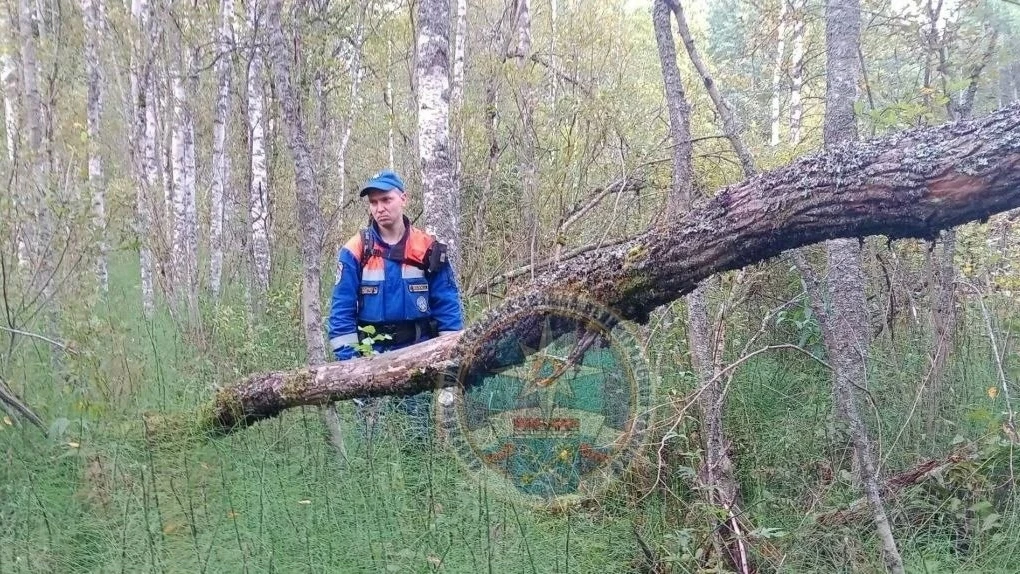 18 августа на пульт оперативного дежурного аварийно-спасательной службы поступило сообщ...