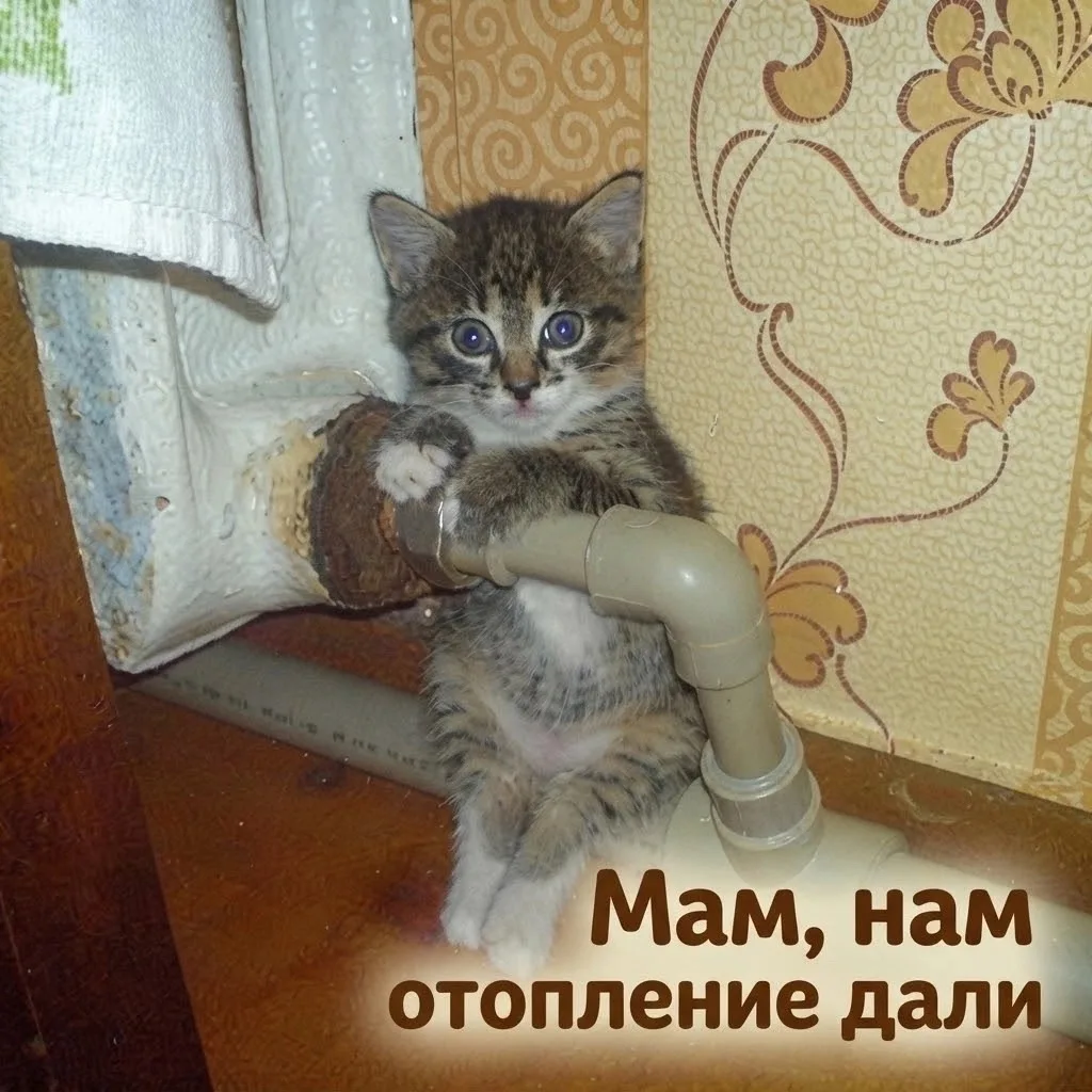 О, тепло пошло 😁 Некоторые жители говорят, что в квартирах стало теплее. А как у вас?