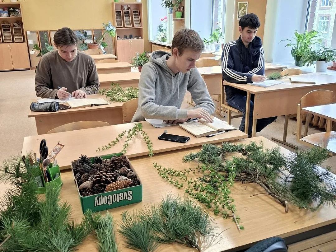 🍏Становимся профи зелёного хозяйства вместе со студотрядами! 

Знаете, кто делает наши парки, сквер