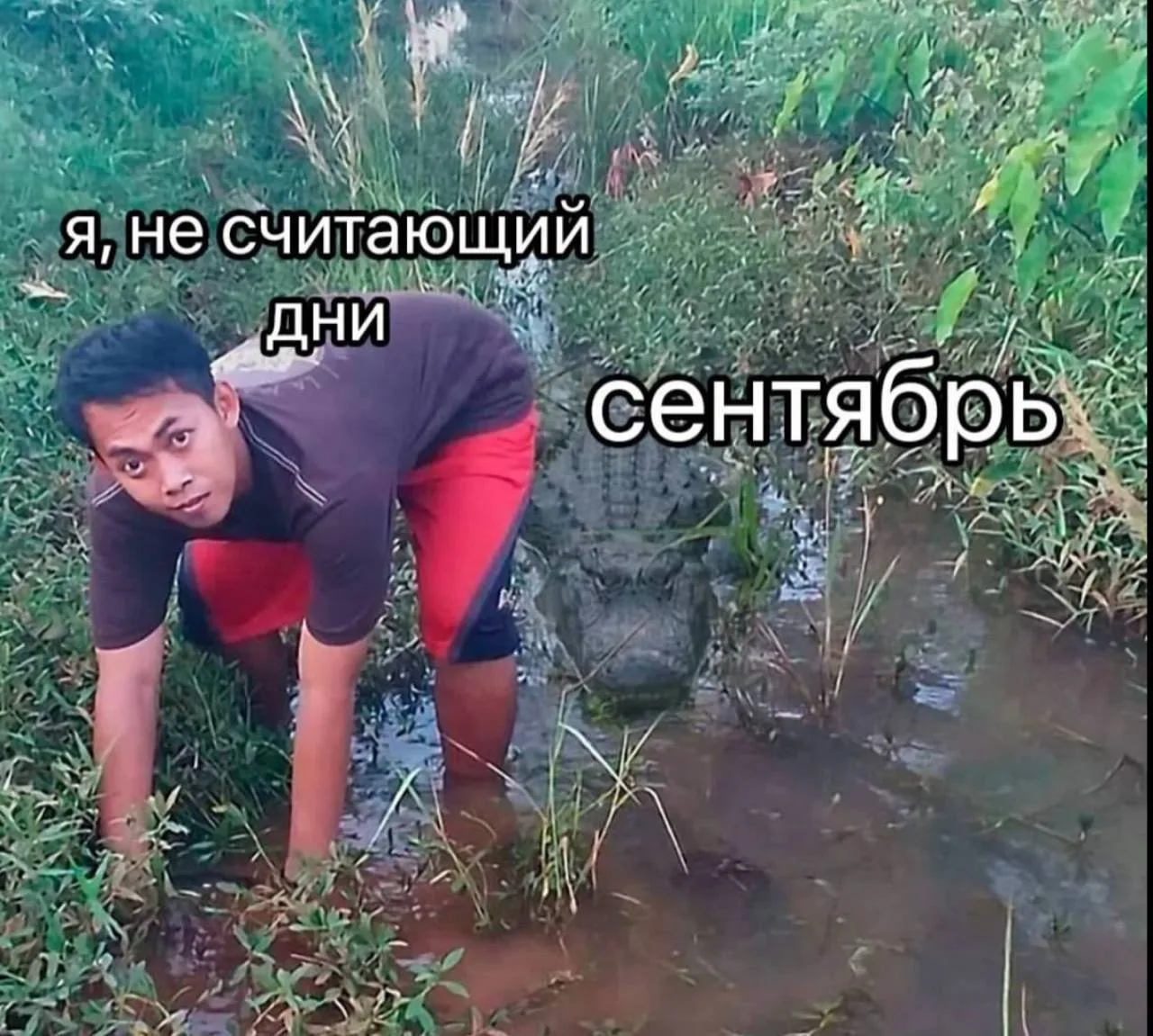 Кто как и я еще не совсем понял, что лето кончилось?