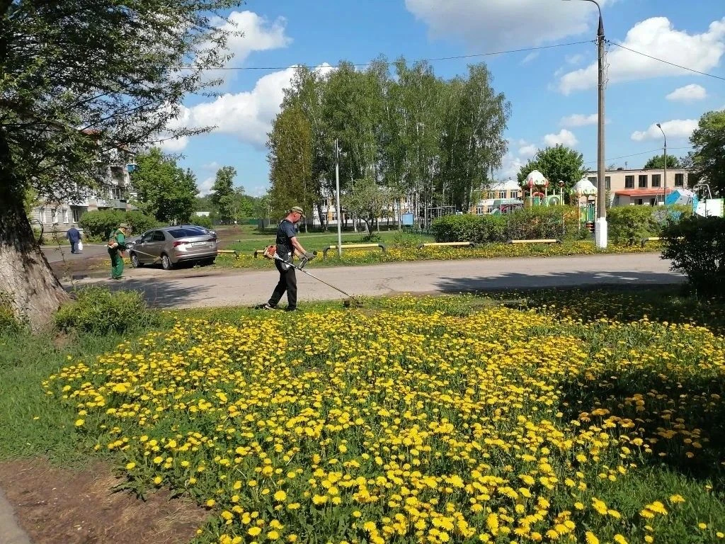 Регулярный окос газонов - важная часть благоустройства городских территорий. Эта работа...