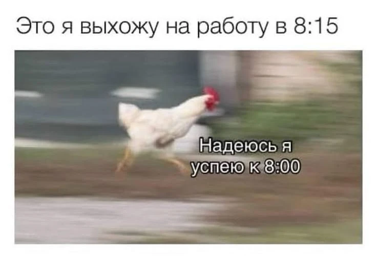 😁 Доброе утро среды!
