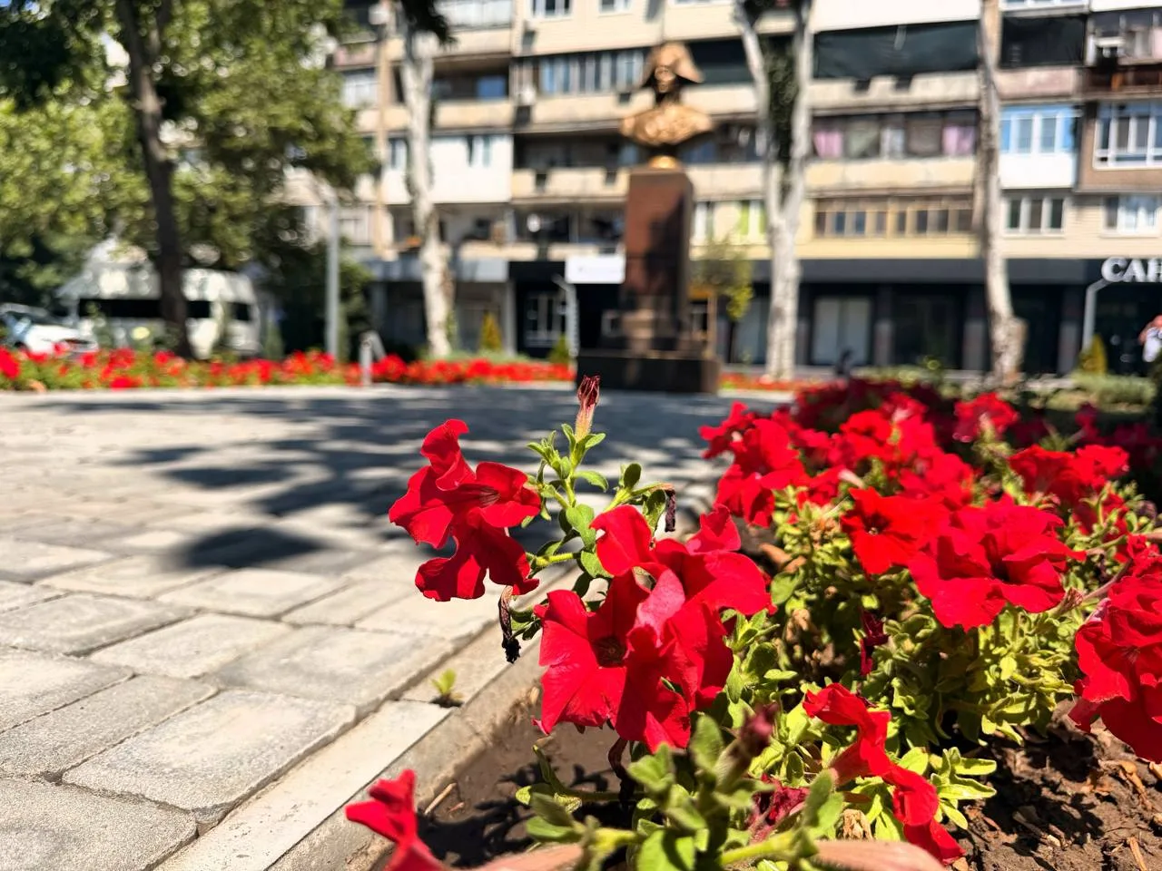Доброе летнее утро 🌺