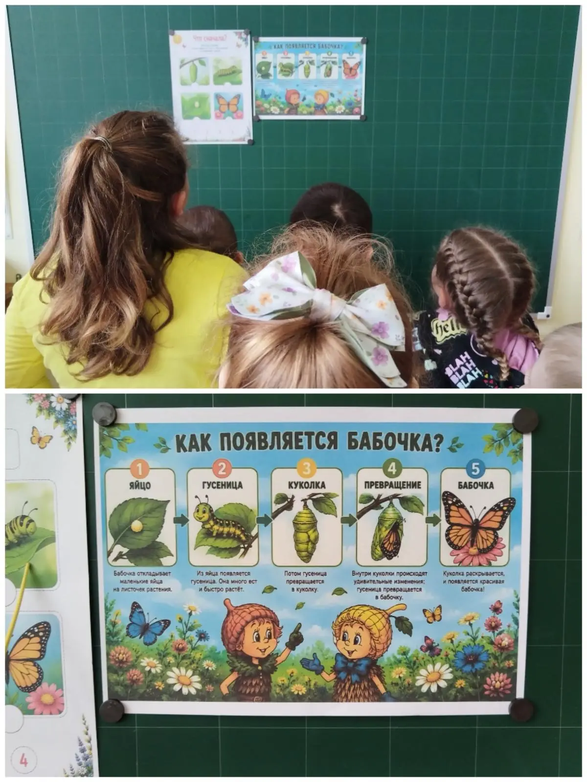 Международный день бабочки🦋 прошёл в группе "Непоседы". Педагог: О. В. Рычкова
