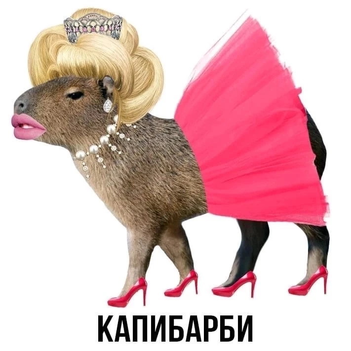 Какой вариант по душе ?