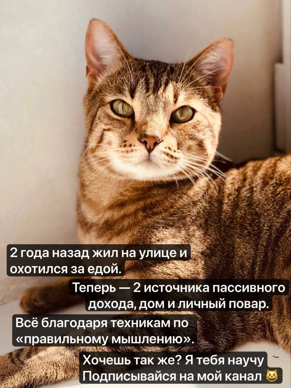 Итоги недели: нефть вверх, рынок вниз 🤝
