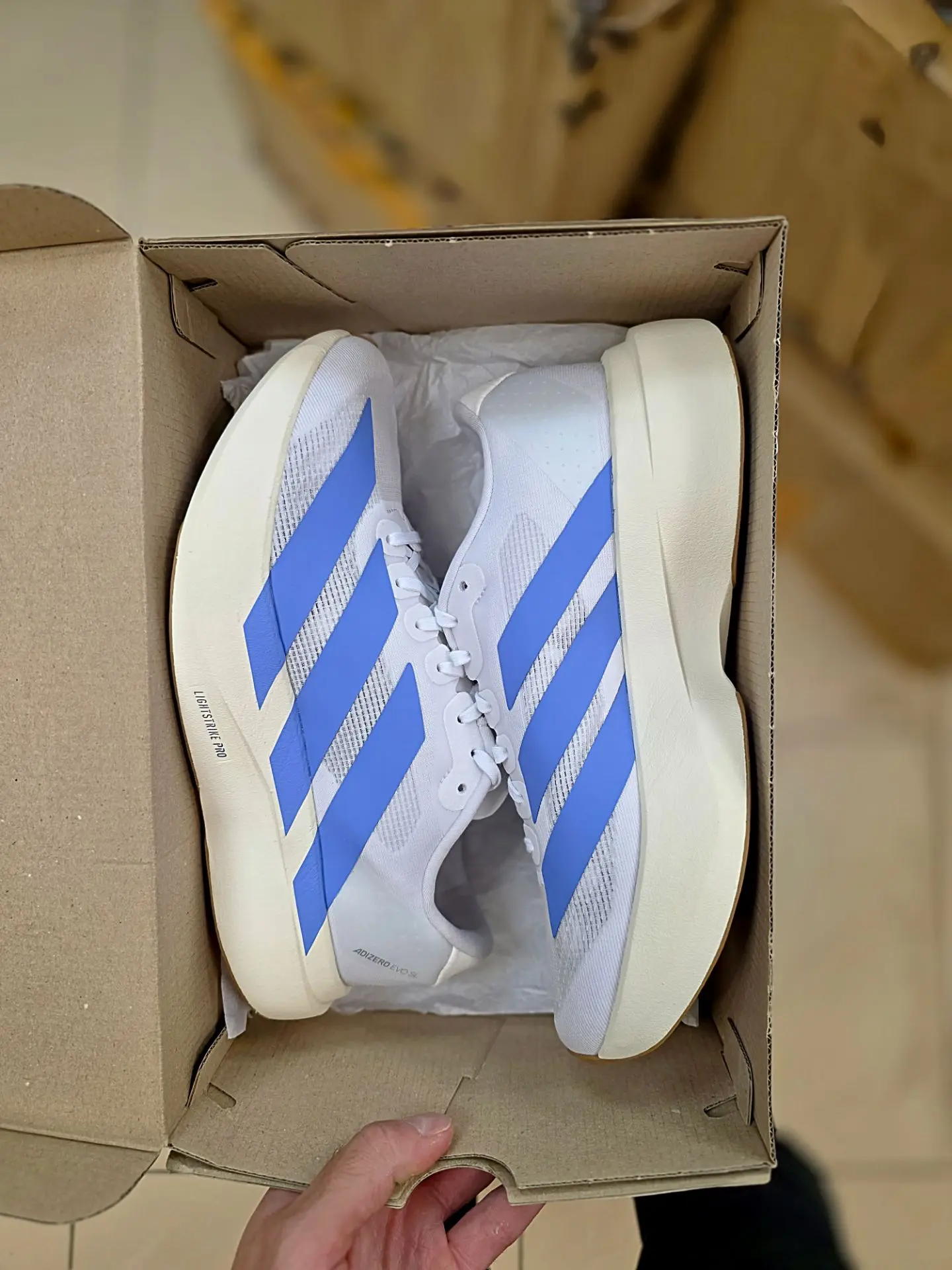 Adidas Adizero Evo SL