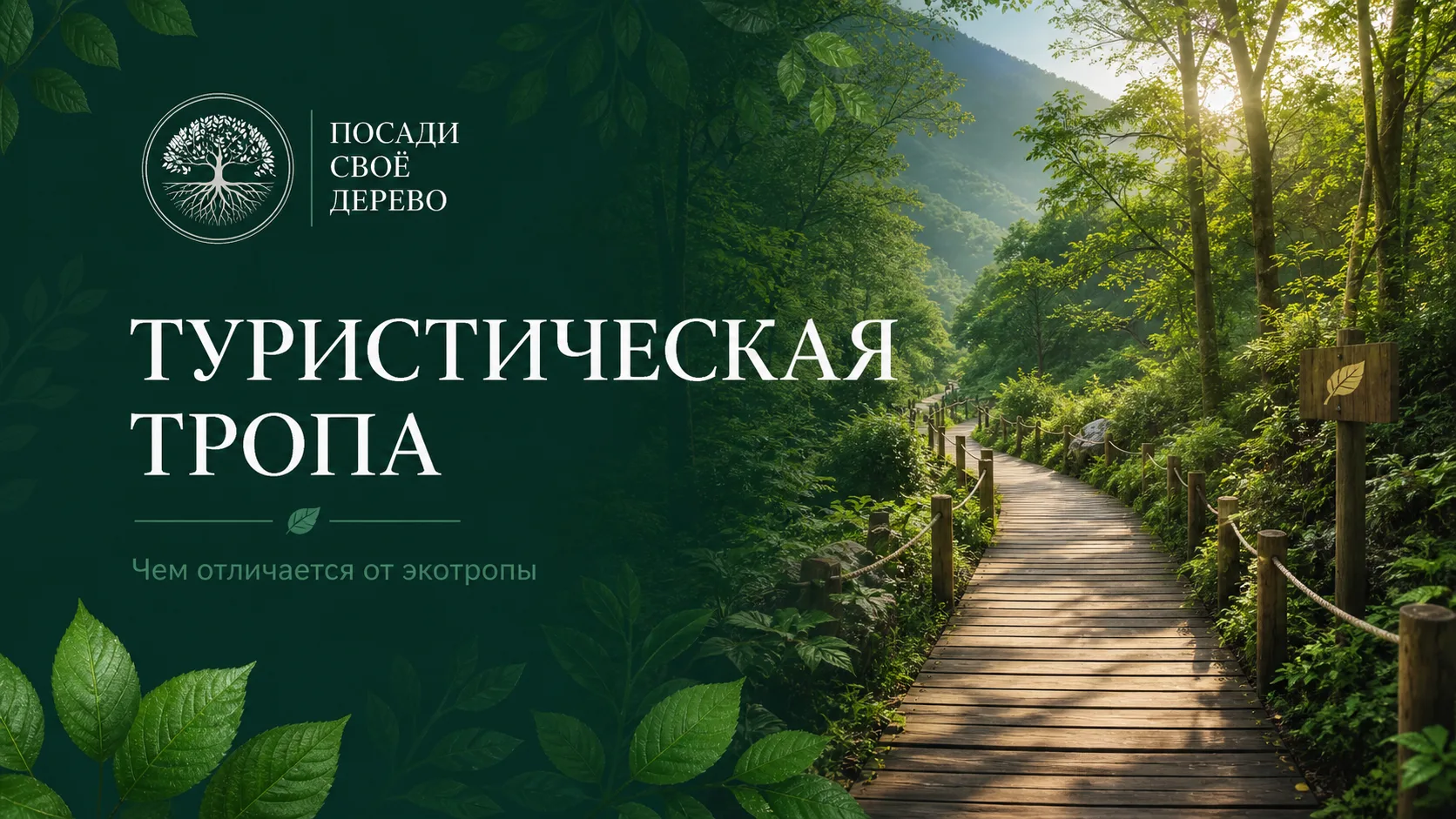 Туристическая тропа — это не просто дорожка в лесу

На первый взгляд кажется: ну что такое тропа? Ид