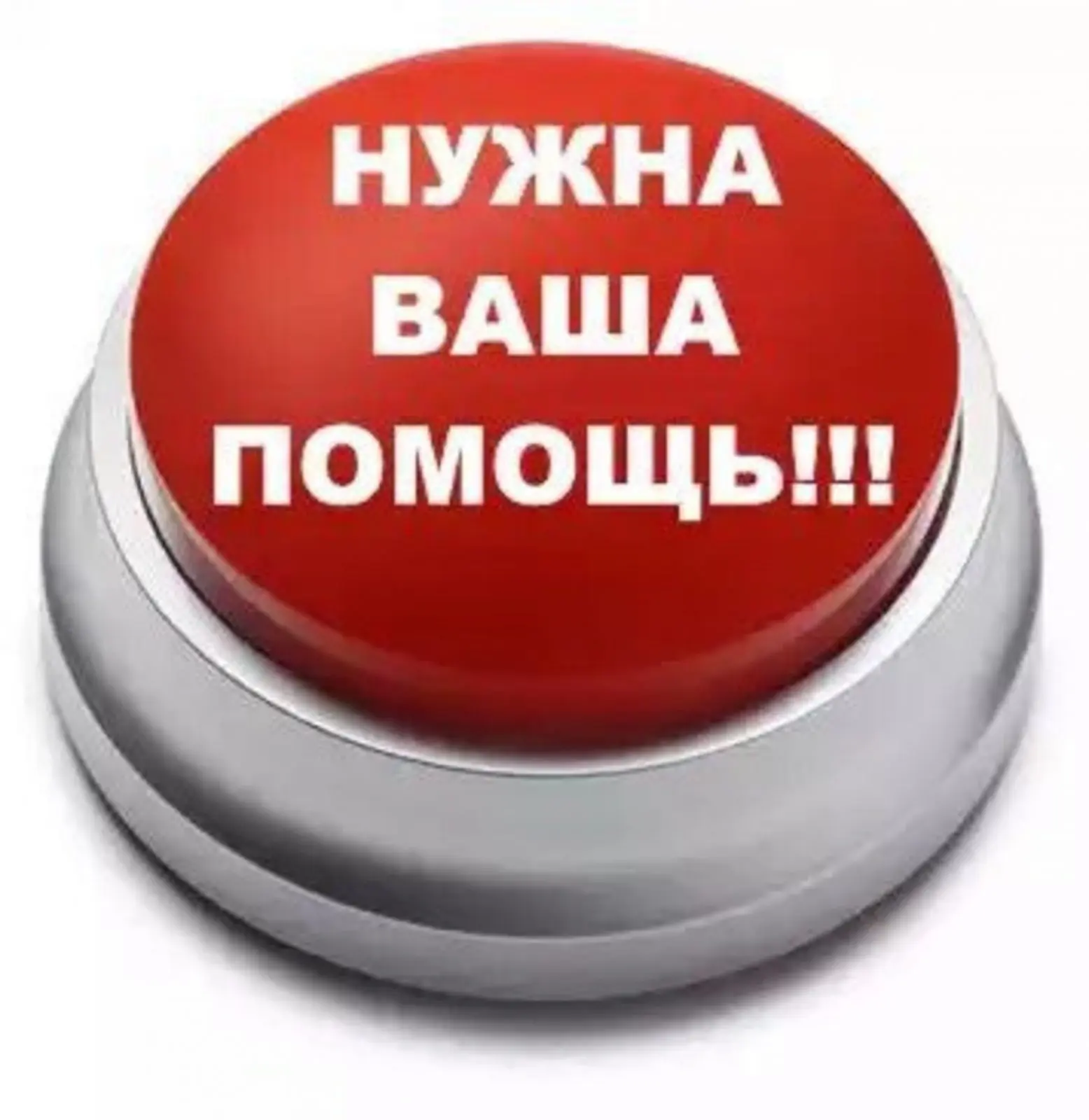 Дорогие наши доноры! 
 
 Приглашаем Всех желающих стать донорами, независимо от группы крови и резус