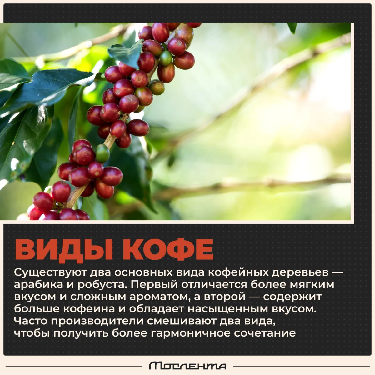 ☕ Сегодня, 1 октября, отмечается Международный день кофе!