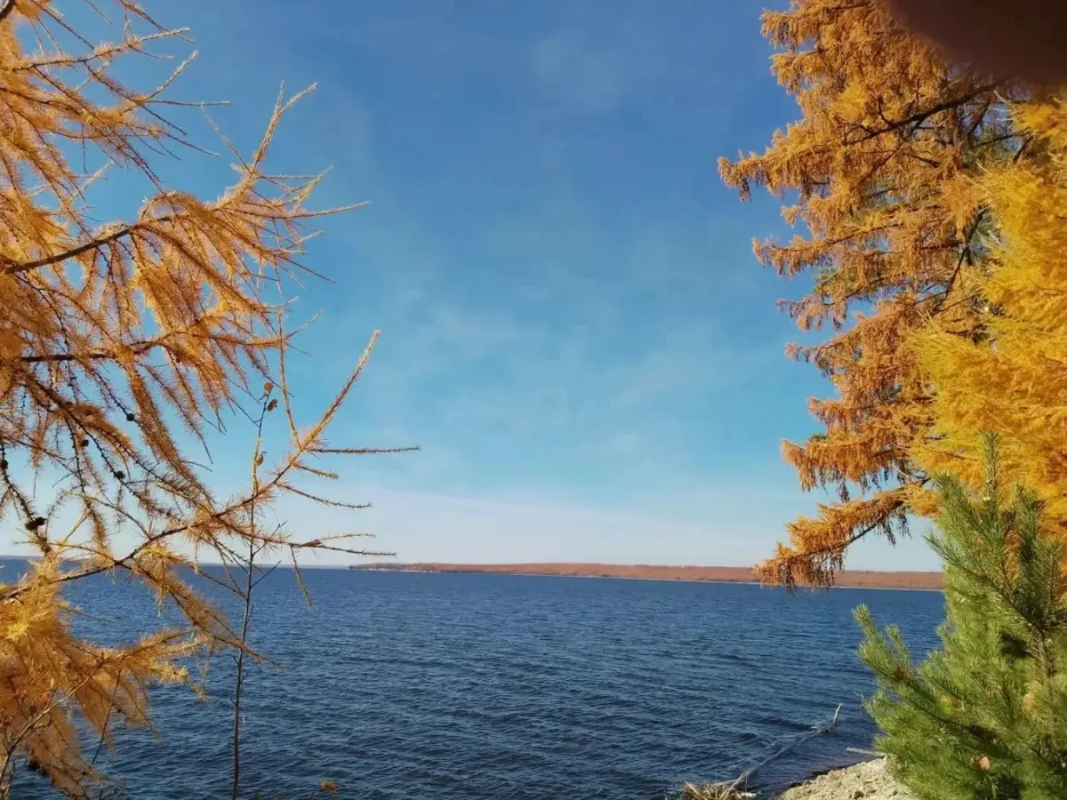 🍁 Яркая осень на севере Амурской области
