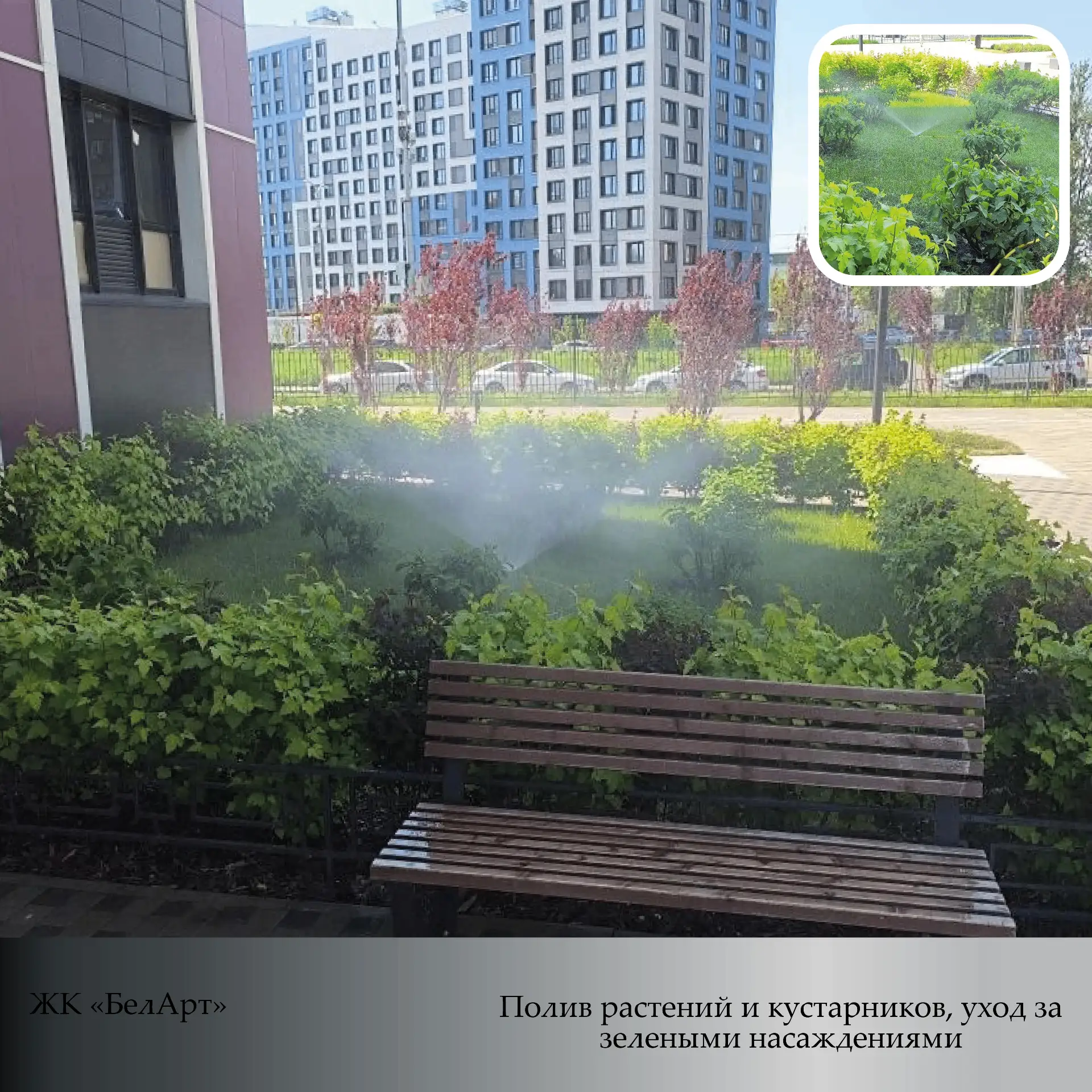 Хотим поделиться с вами результатами о проделанных работах в наших жилых комплексах за прошедшую нед
