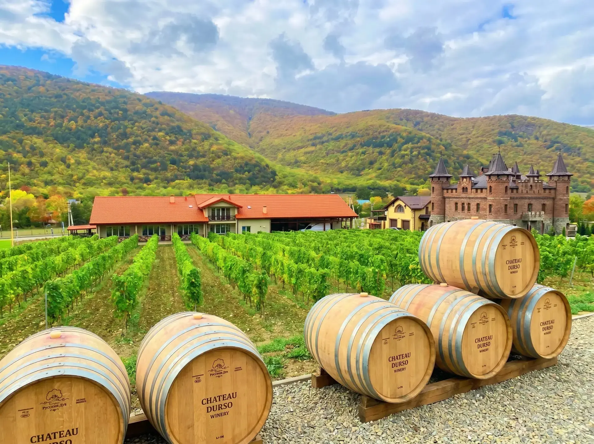 🏔 Экскурсия в усадьбу «Шато Дюрсо» — винодельческий рай у Чёрного моря 🍷

Представьте: живописный 