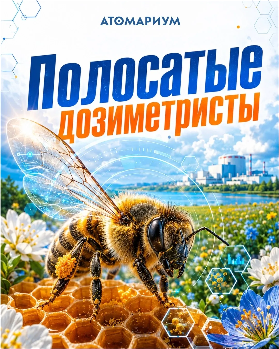 Полосатые дозиметристы: как пчёлы помогают атомщикам следить за экологией.

Спойлер: мёд, собранный 