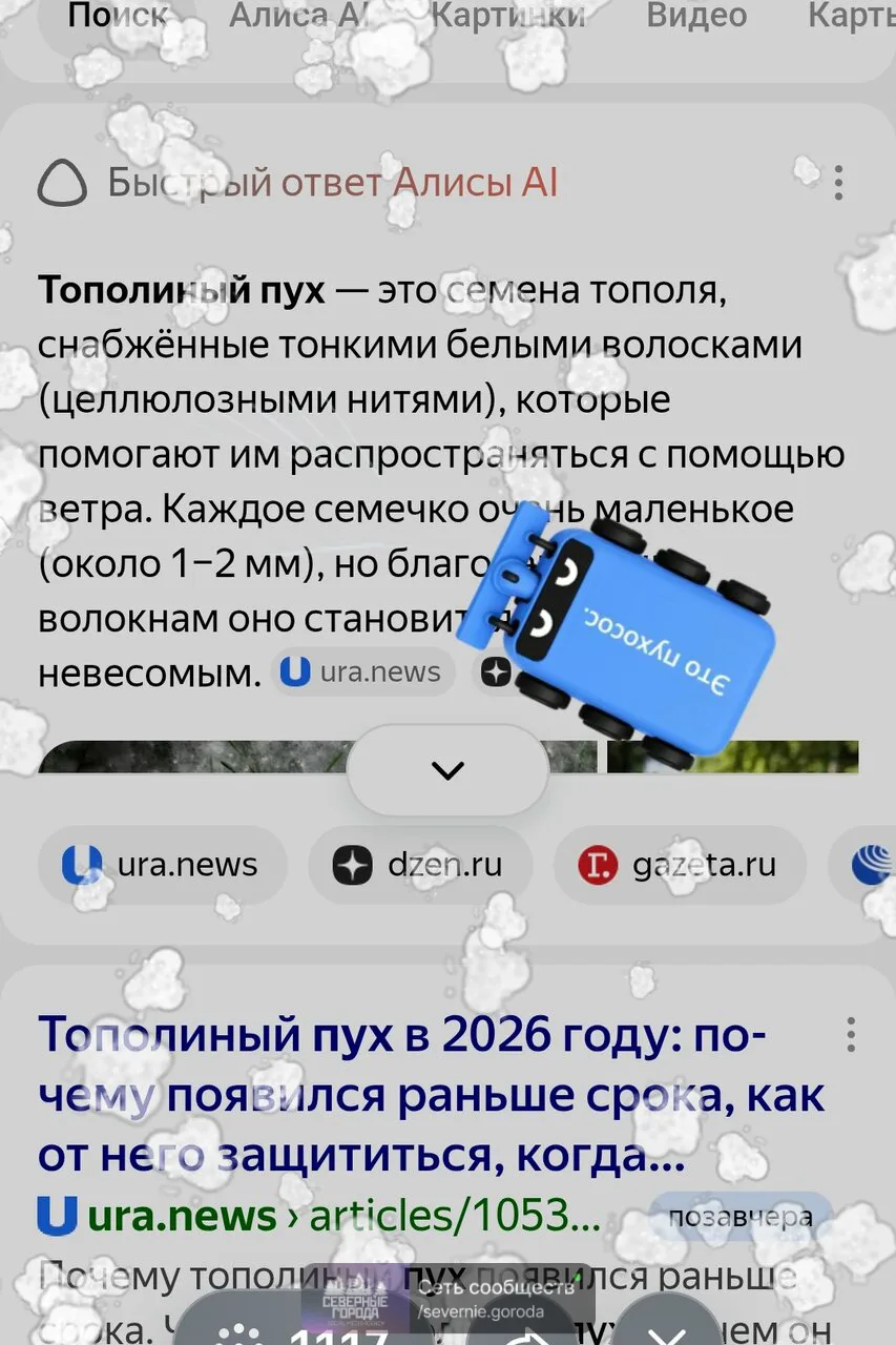 Устали? Вот вам антистресс - в поисковой строке Яндекса набираете "пух тополя" и на экране появляетс