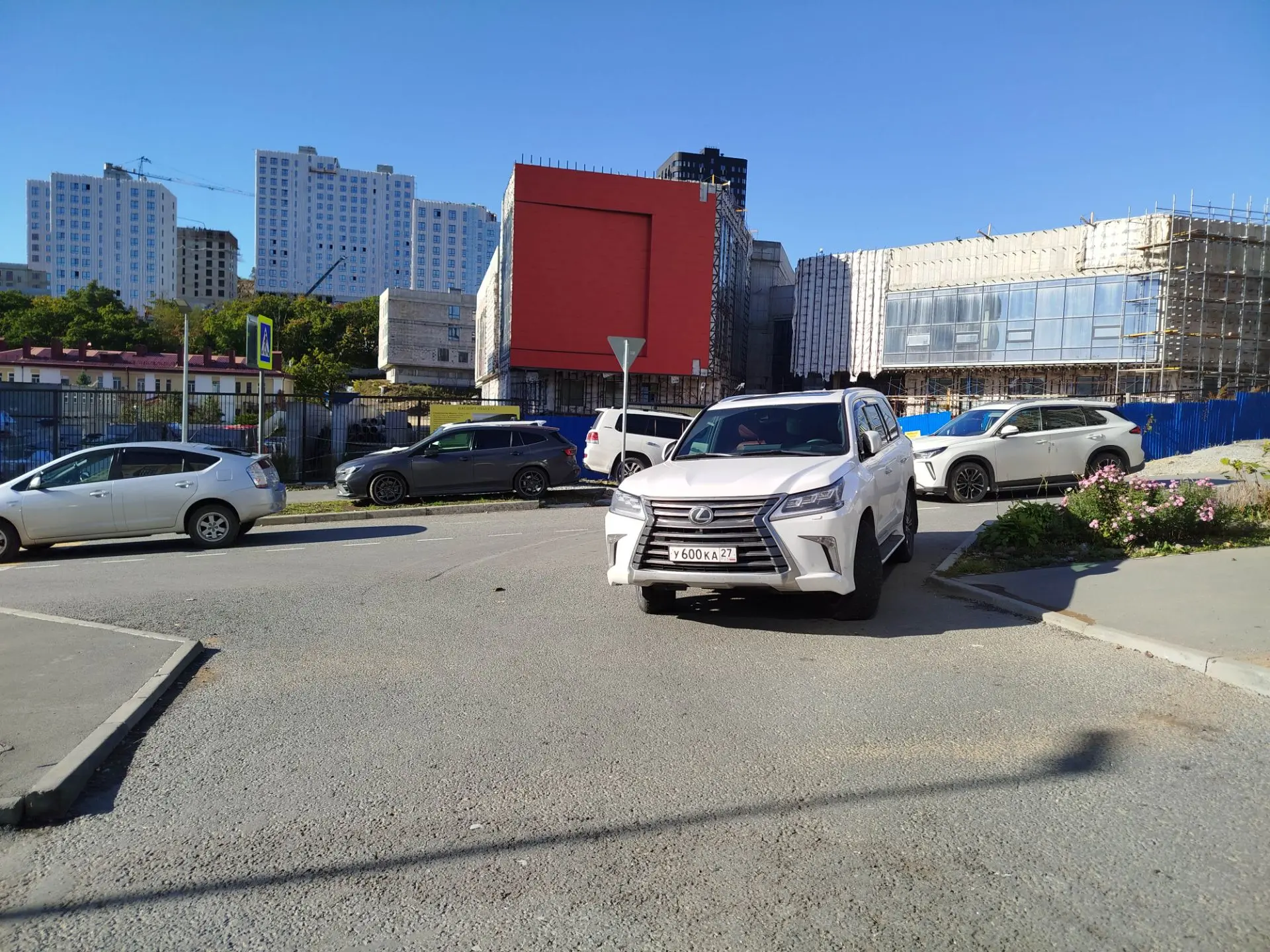 Пернатый заблокировал свободный проезд к Сочинской,3.  Водитель Лексуса с госномером  У...
