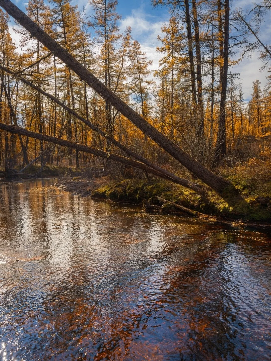 ☀️🍃🕊 С добрым утром, дорогие!