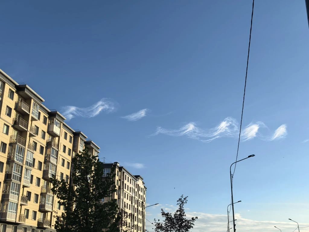 Сегодня увидели на небе такие облака. Первый раз такое вижу.