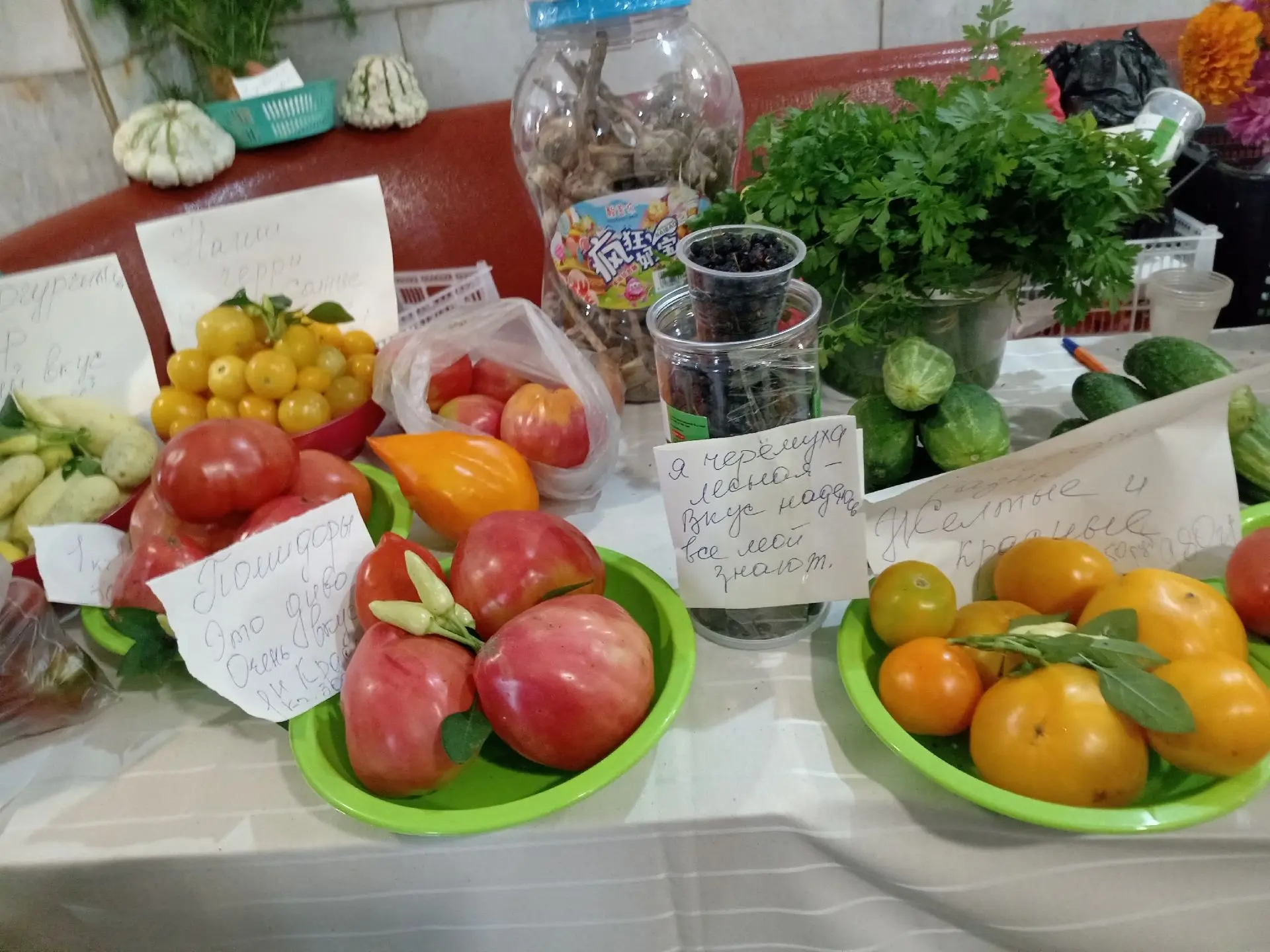 🍅🍇Уже через день, 30 августа, в 11 часов, на главной площади Амурска начнется городск...