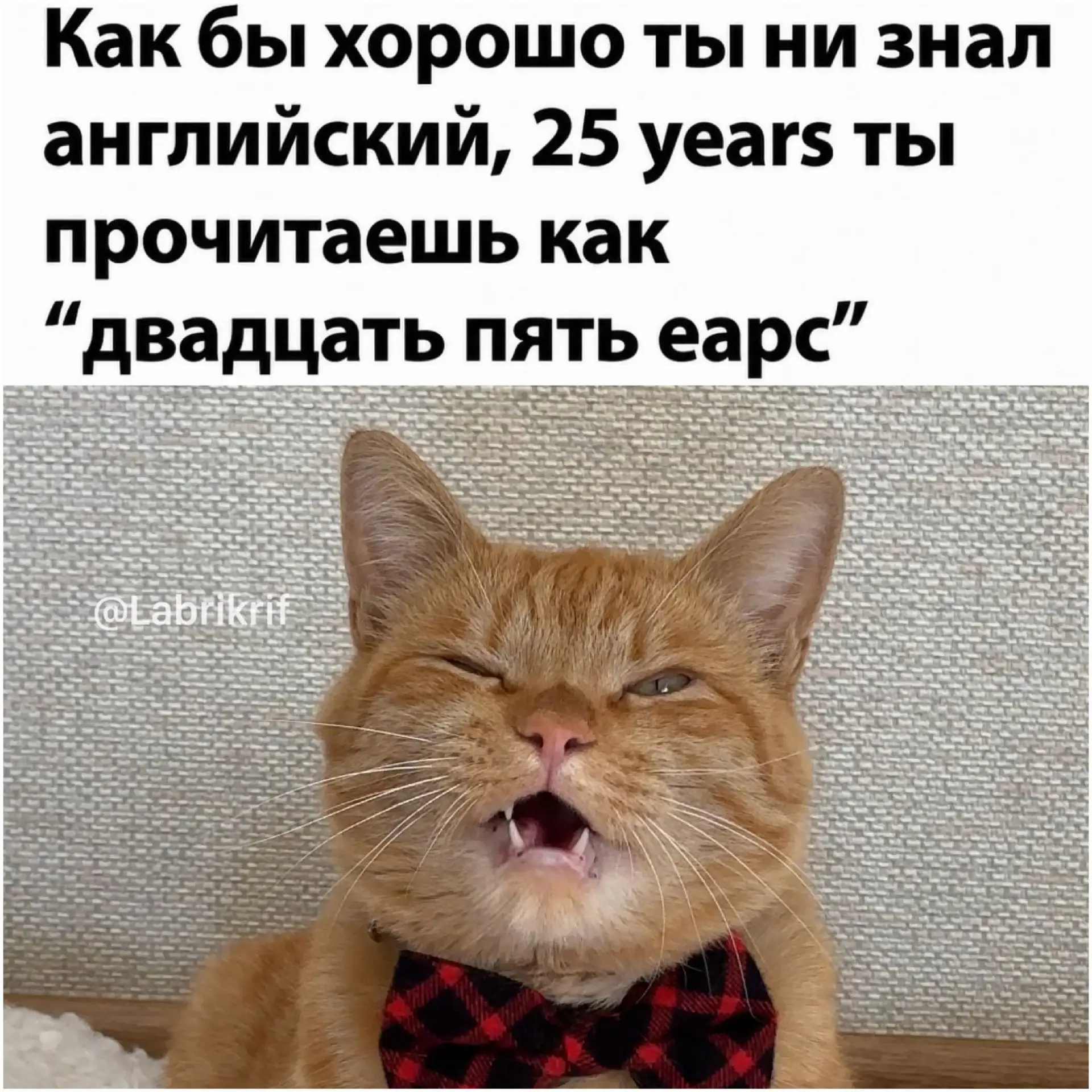 Подпишись на юмор 😂
