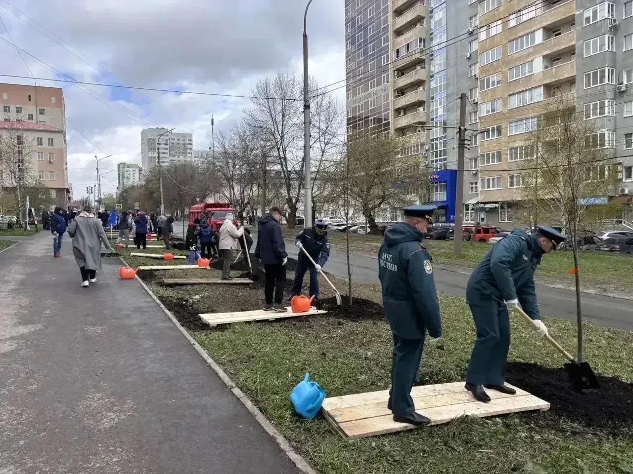 185 тысяч деревьев, 1,7 миллиона саженцев и кустарников, больше тысячи новых зеленых зон в городах и