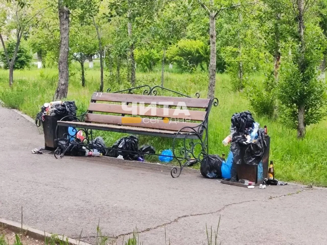Очевидцы жалуются на мусор и бродячих собак у дороги в аэропорт

Прямо на главной пешеходной дороге,