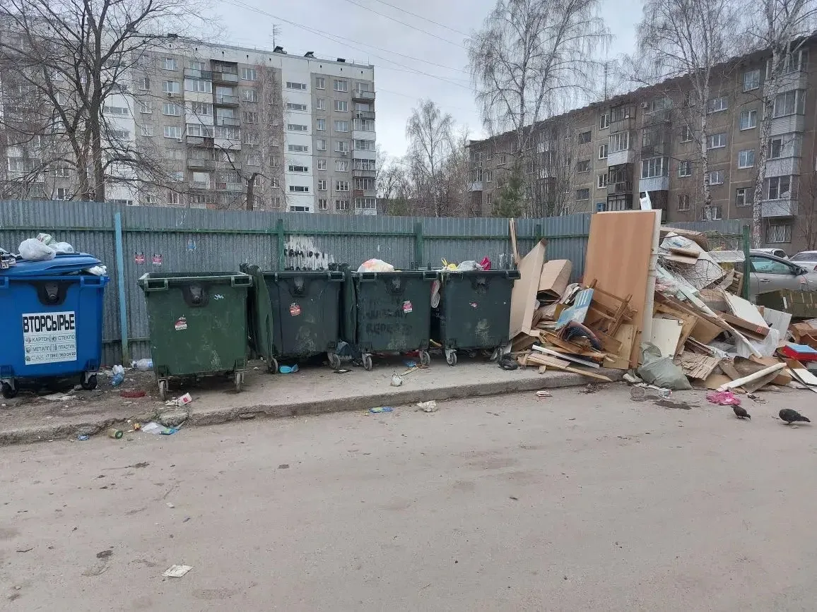 📍Прокуратура требует очистить Новосибирск от мусора  По требованию прокурора области Александра Бучм