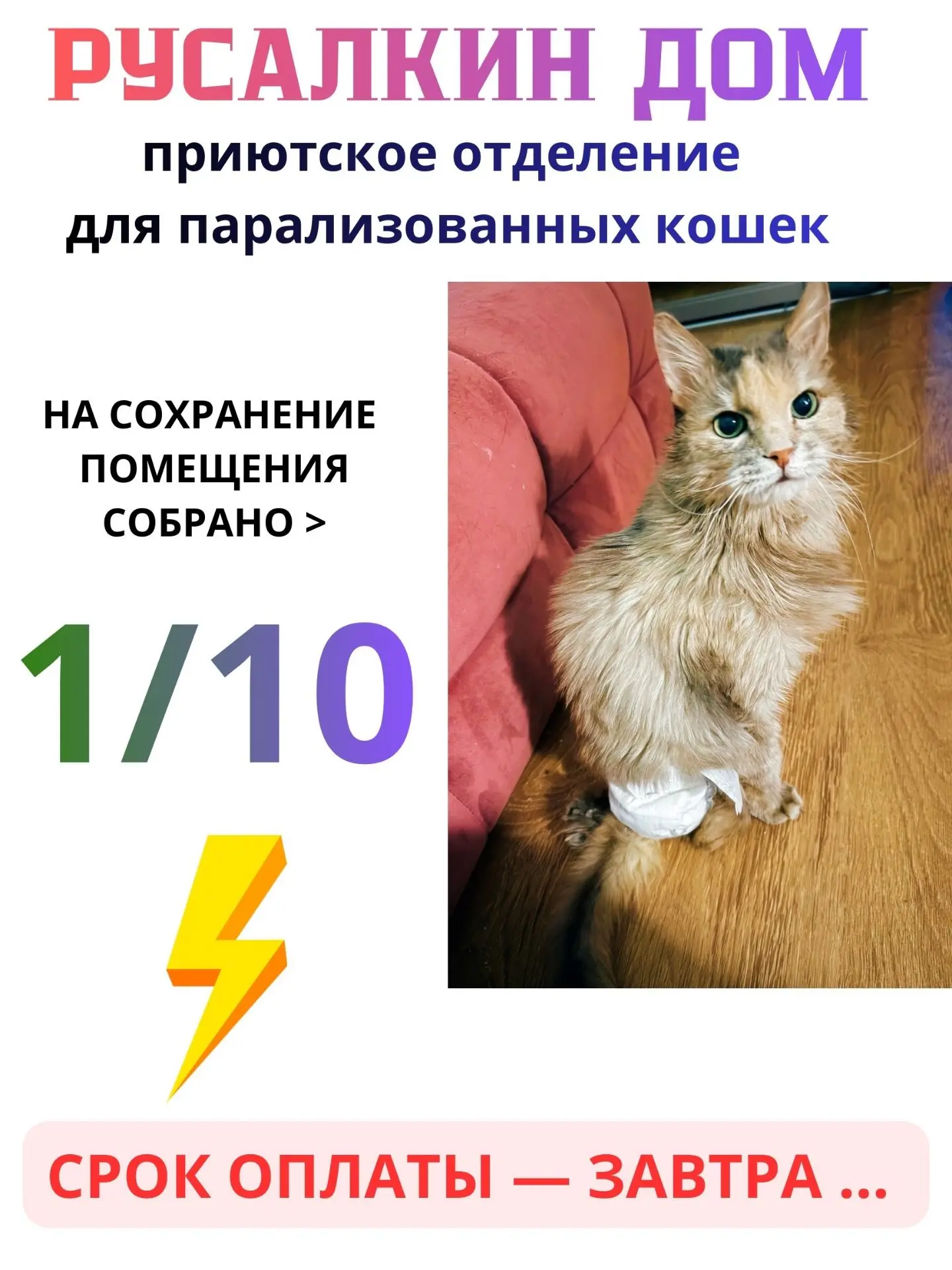 6🏴 https://vk.ru/wall-78257920_148680