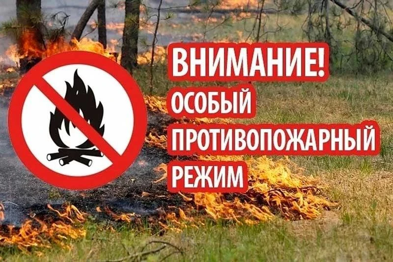 Уважаемые жители Прохоровского округа!