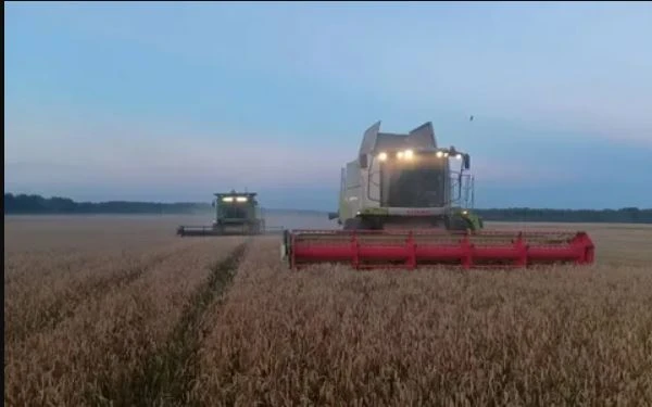 Уборочная кампания в Починковском округе: на финишной прямой! 🚜🌾