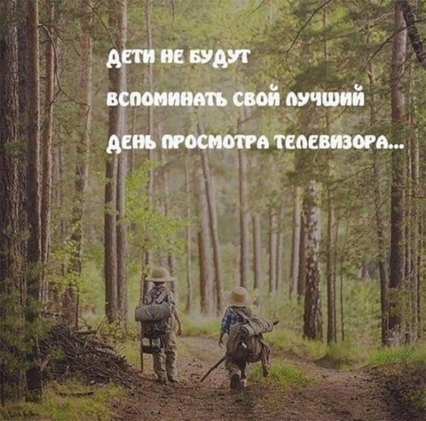 ...Эта фраза — о том, что остаётся в памяти по-настоящему, а что исчезает без следа.