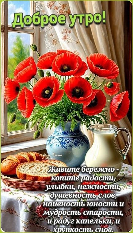 Самые лучшие