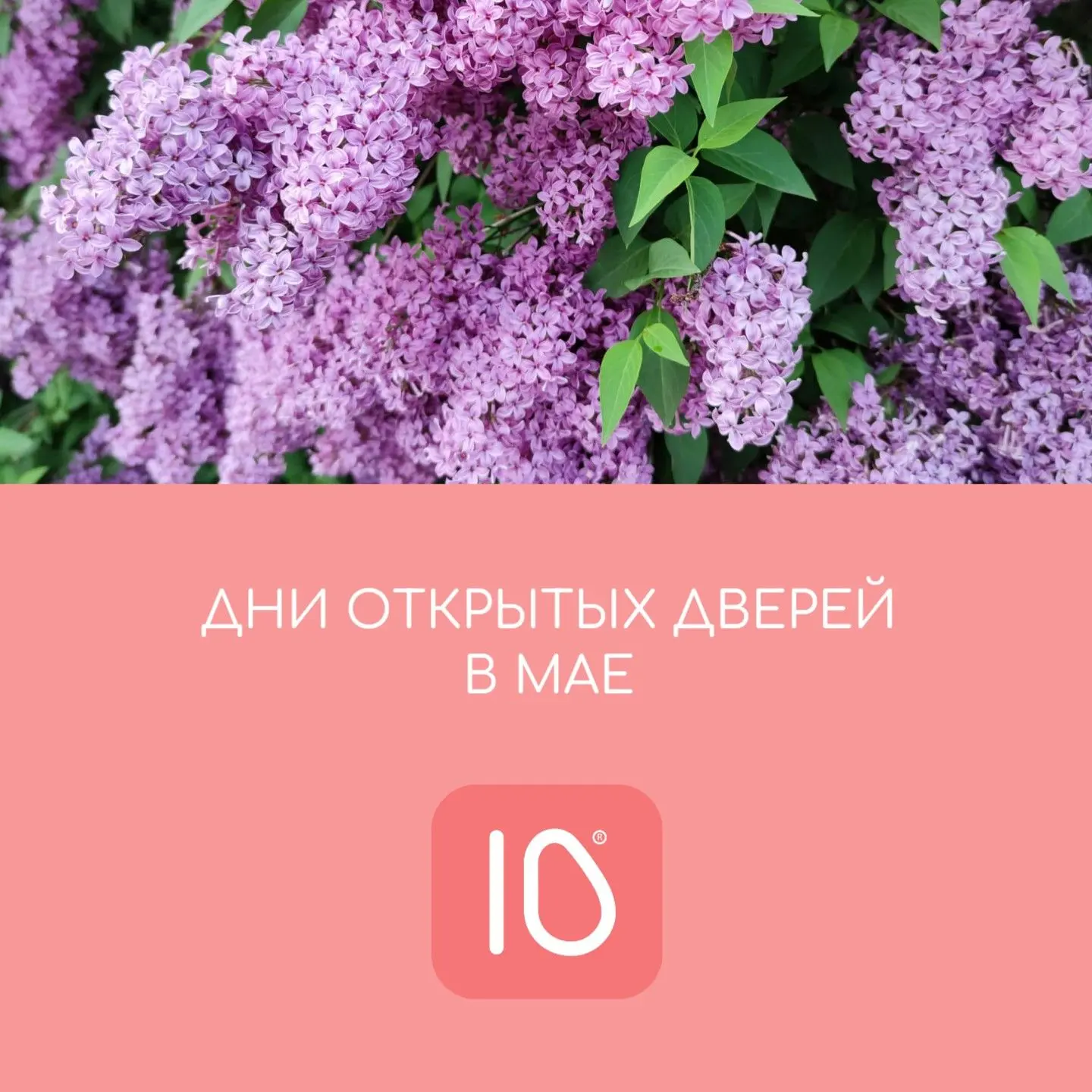 Приглашаем знакомиться с 10 Роддомом!