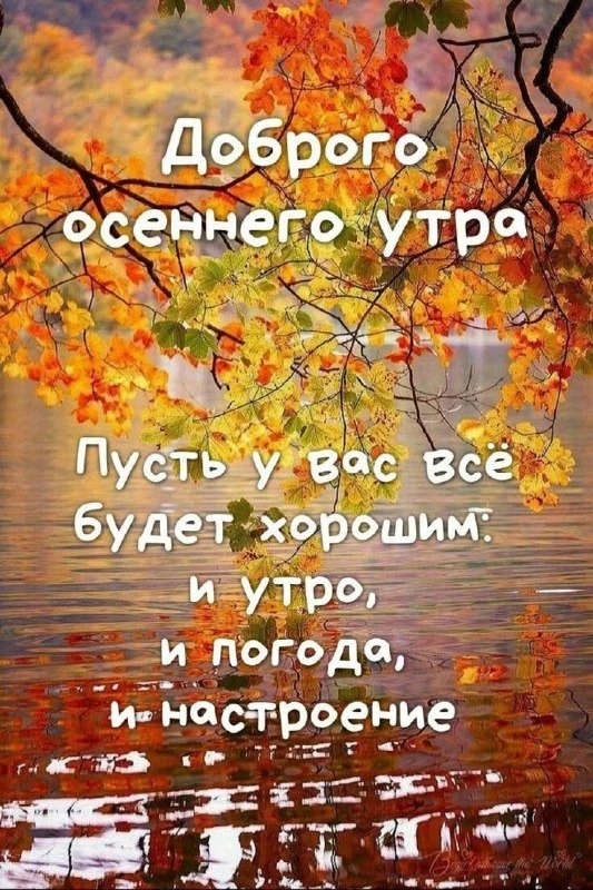✍️ Поздравления для близких