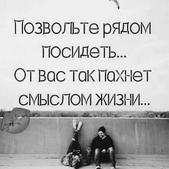 Цитаты жизни