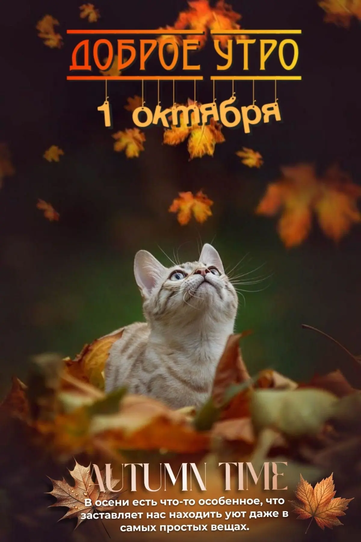 КРАСИВЫЕ ОТКРЫТКИ ТУТ💖