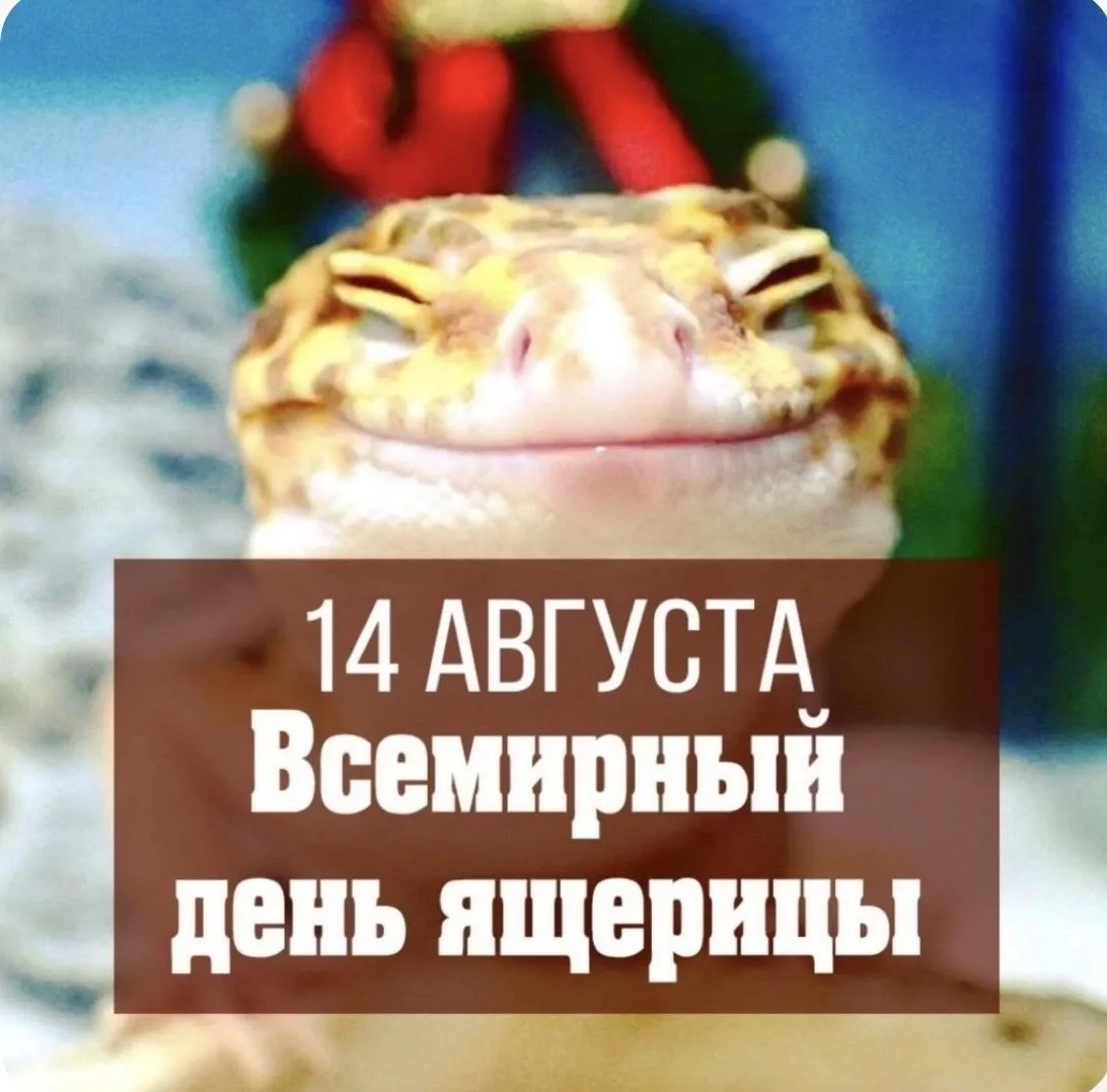 14 августа отмечается Всемирный день ящерицы!