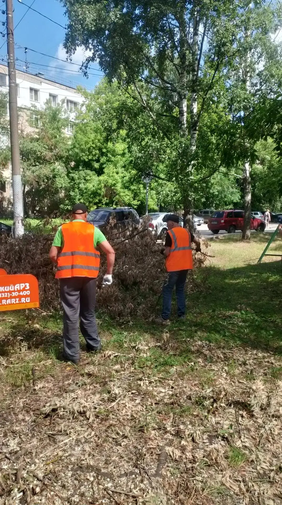 🌳 Проводим санитарную обрезку деревьев на придомовых территориях — удаляем сухие и повреждённые вет
