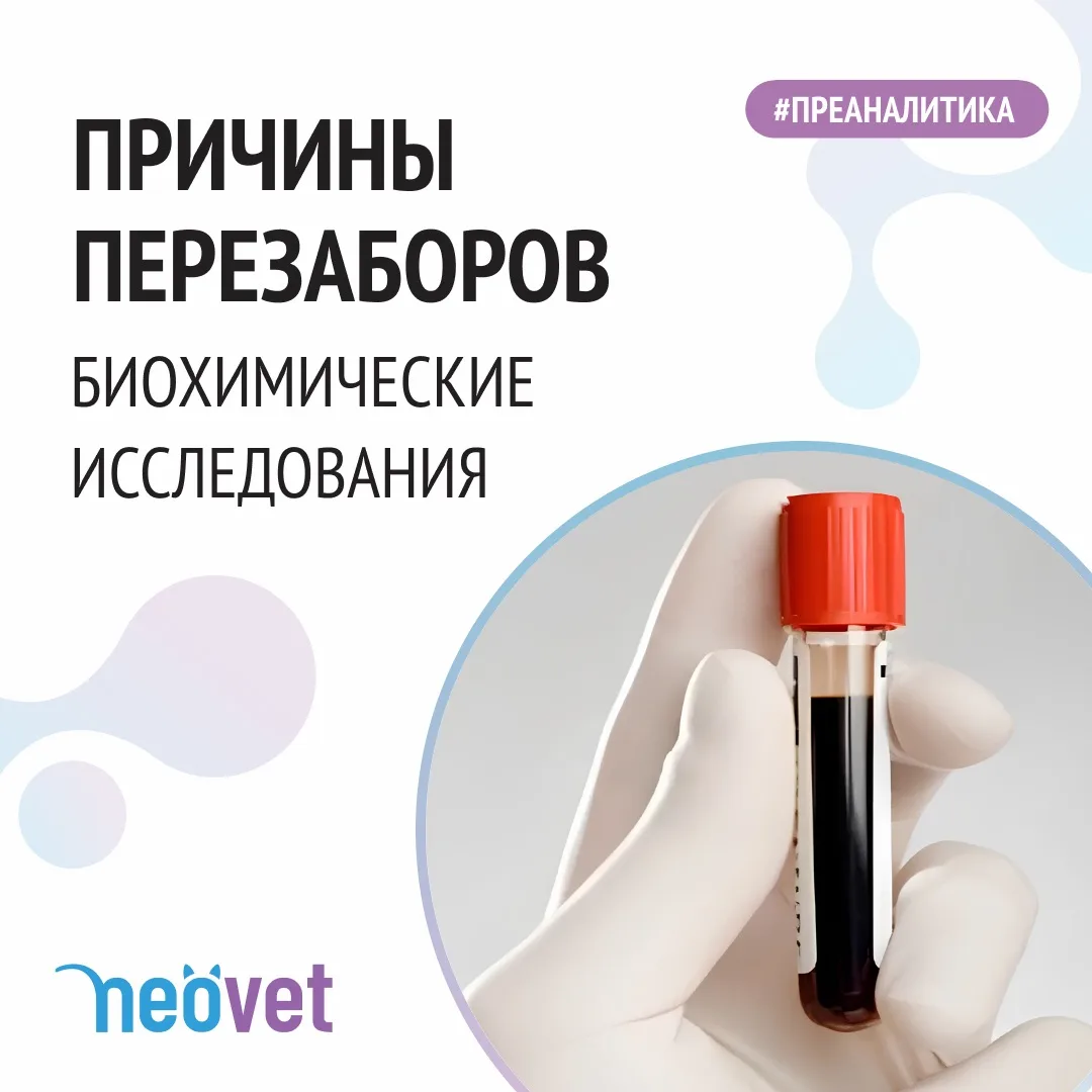 #преаналитика

Давайте разберём причины перезабора материала на биохимический анализ крови 💫

#neov